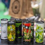 THC Beverage Regulation: What Hemp Brands Face