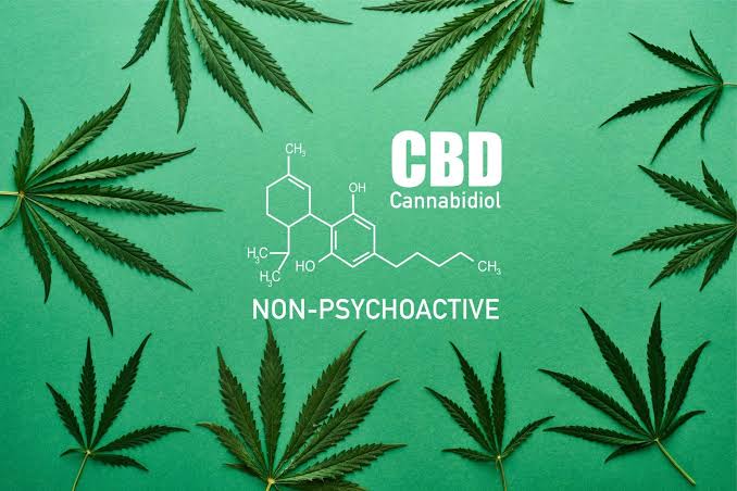 How Hemp Brands Build Trust Without Paid Advertising